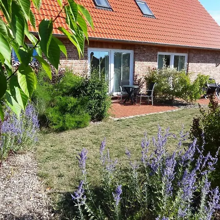 Ferienwohnungen Hass - Haus 10 Fehmarn Exterior foto